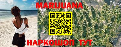 шишки Ливны